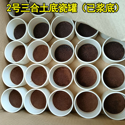 泗店陶瓷罐蟋蟀罐蛐蛐罐小带罐油葫芦养盆叫罐砸底虫鸣虫用具 - 图0