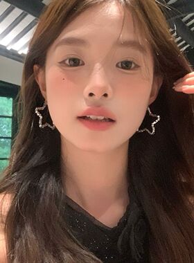 轻奢水钻星星耳环显脸小