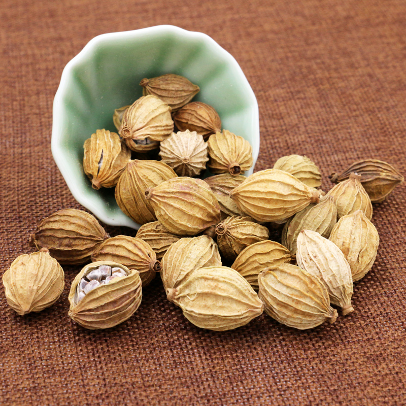 天然调料香料大全 香砂 川砂仁 香砂仁 壳沙川菜火锅香料按方抓料 - 图1