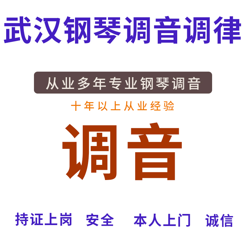 武汉钢琴维修 钢琴调律调音修理服务 调音师 钢琴调律师武汉上门 - 图3