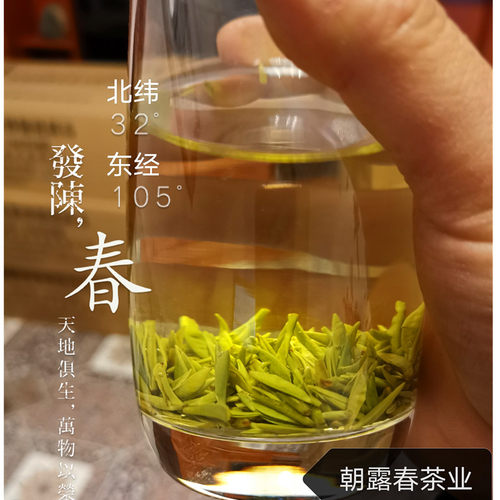2026陇南明前新茶陇南雀舌文县碧口李子坝明前新茶直销500g包邮 - 图2