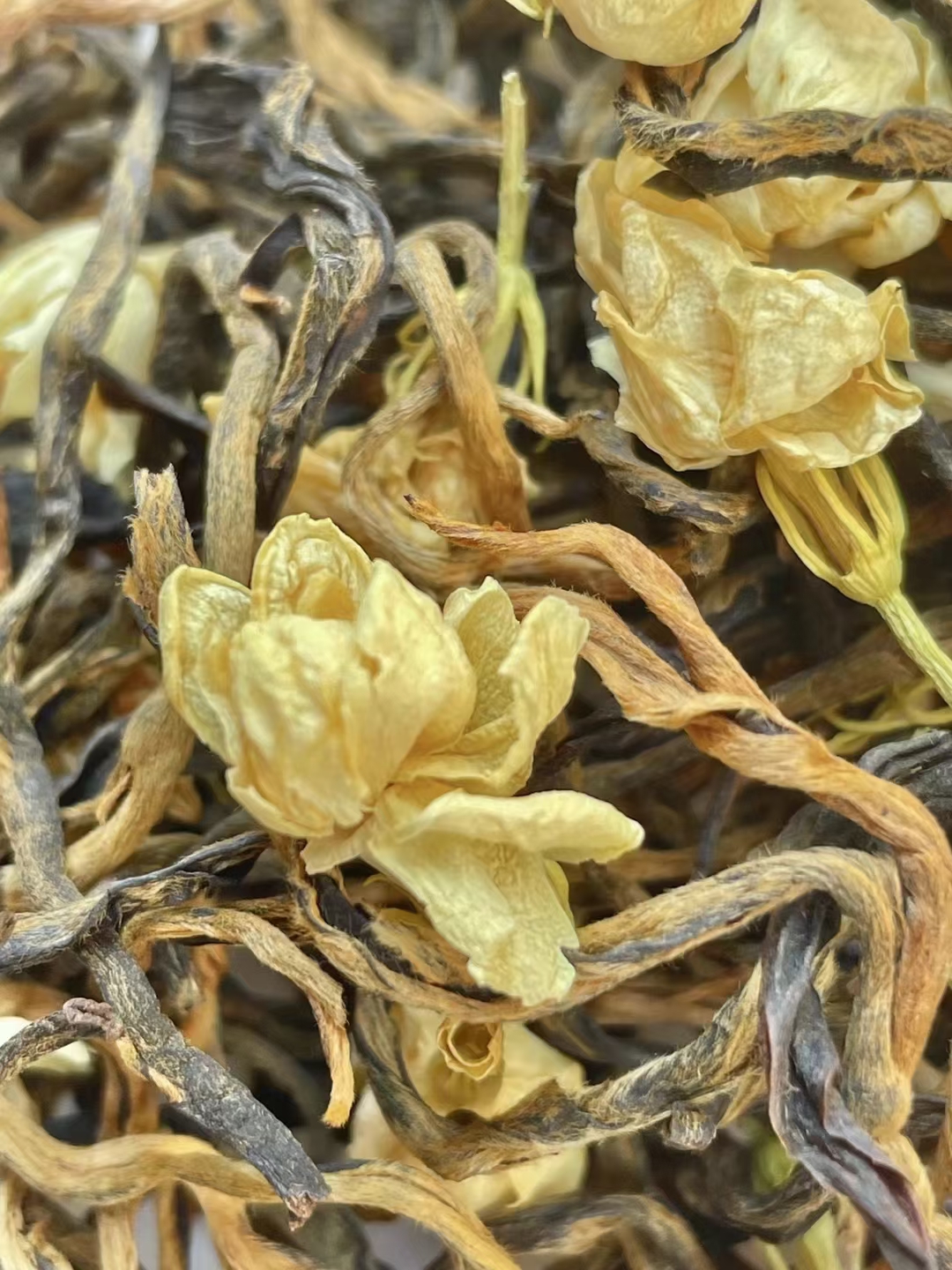 2024新茶茉莉花茶滇红云南凤庆滇红茶茉莉花红茶花蜜香浓香型250g - 图1