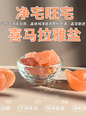 粗盐元宝净宅水晶碗旺财御守盐摆件大颗粒海盐搬家商铺新居厕所