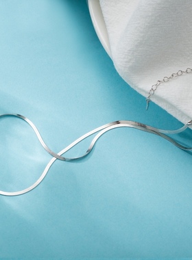 日韩925纯银粗蛇骨链项链银色短款颈链ins博主款裸链百搭时髦叠搭