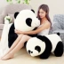 Giant Panda Plush Toy Doll Doll Dễ thương Siêu dễ thương Gấu ôm Gối ngủ Ragdoll Quà tặng sinh nhật Nữ - Đồ chơi mềm