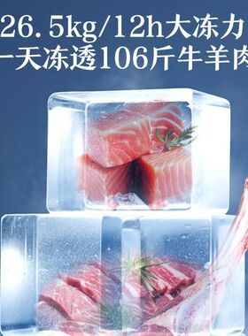 澳柯玛737L商用卧式冷冻冰柜