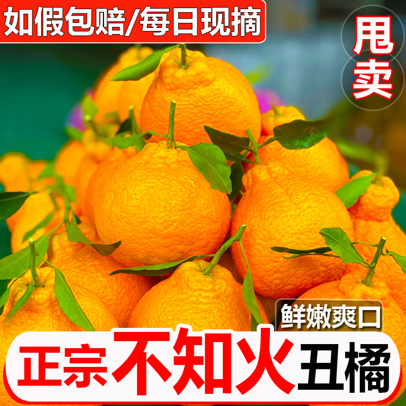 四川不知火丑橘9斤桔子当季新鲜时令水果整箱包邮柑非耙耙粑粑10 - 图3