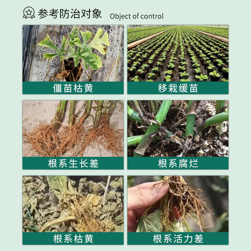 国光根宝植物生根剂园林蔬菜花卉苗木移栽促根发根壮苗叶面肥料 - 图1