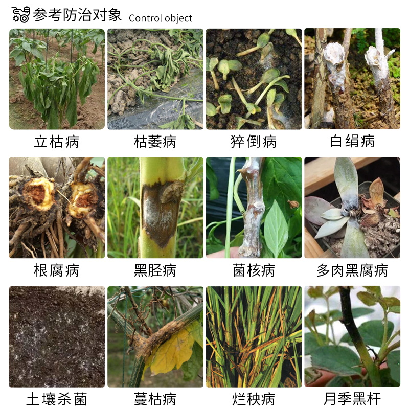 东合甲霜恶霉灵根腐立枯病霉霜病专用药土壤通用兰花专用杀菌药剂-图0