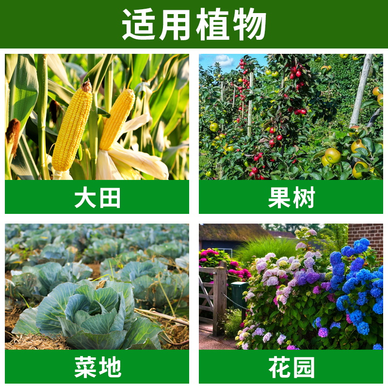 辛硫磷鳞麟颗粒土壤杀虫剂地下上害虫蛴螬大地老虎蝼蛄专用农药全