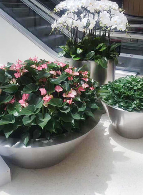 旺雅不锈钢上海简约花盆