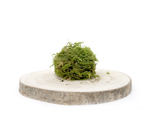 花草垫料合集 仓鼠可食用提摩西草杨木丝苔藓除臭造景走南养老院 - 图3