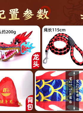 舞龙彩带健身新款儿童手甩龙甩龙广场舞甩甩龙中国龙龙头表演道具