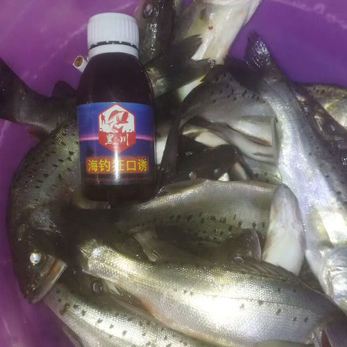 海钓专用诱鱼剂浓腥鲈鱼路亚假饵小药添加剂黑鲷打窝料鲻鱼面饵料 - 图0