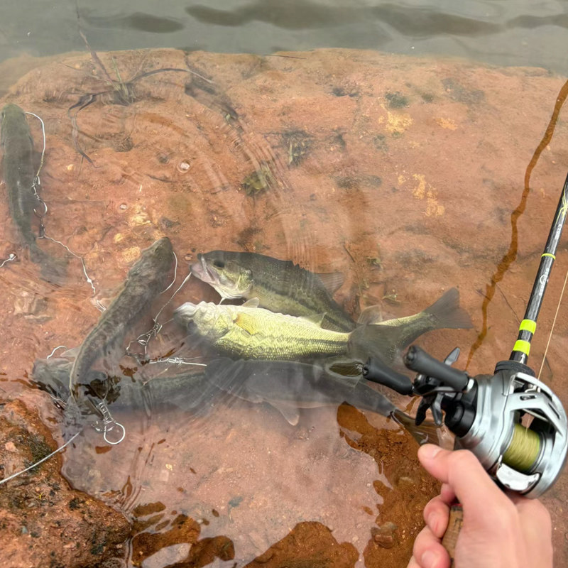 路亚专用浓腥诱鱼剂翘嘴软饵米诺铅头钩t尾鲈鱼vib假饵料黑鱼小药,淘宝优惠券,粉丝福利购,淘宝优惠卷