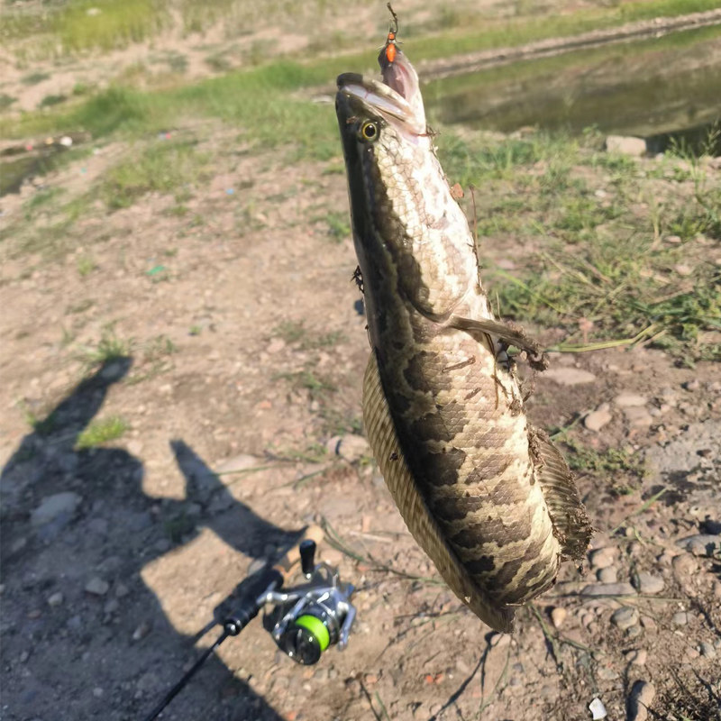 路亚专用浓腥诱鱼剂翘嘴软饵米诺铅头钩t尾鲈鱼vib假饵料黑鱼小药,淘宝优惠券,粉丝福利购,淘宝优惠卷