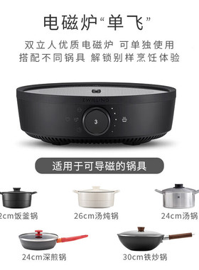 德国双立人智能电磁炉