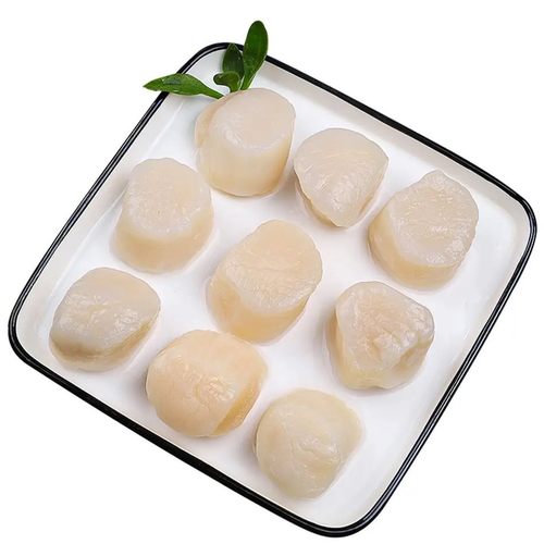 刺身帆立贝柱1kg 北海道冰鲜寿司即食冷冻大带子扇贝S号北腾嘉辉 - 图0