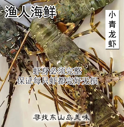 渔人海鲜 东山岛国产小青龙虾鲜活冷冻青龙虾 海鲜龙虾超大龙虾 - 图2