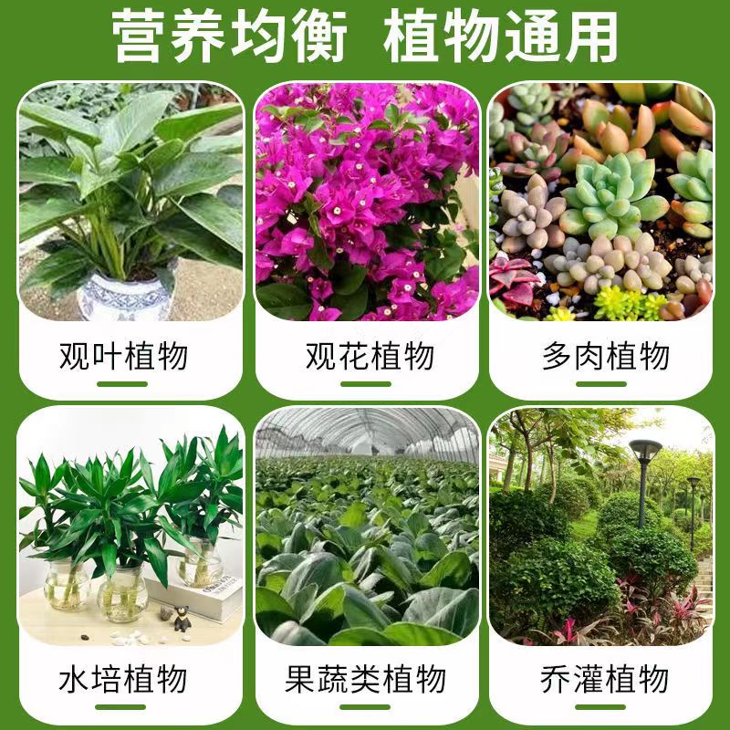 润植邦【官方正品】营养液肥料家庭园艺发财树富贵竹花卉绿植果树 - 图0