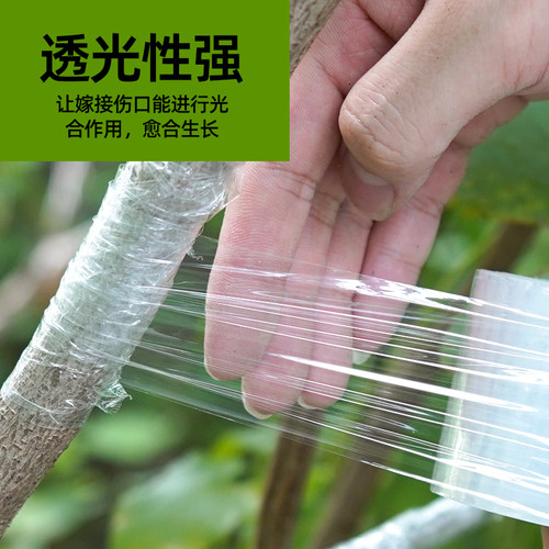 嫁接膜专用膜PE无需打结薄膜自粘式园林果树嫁接胶带包扎带缠绕膜 - 图1