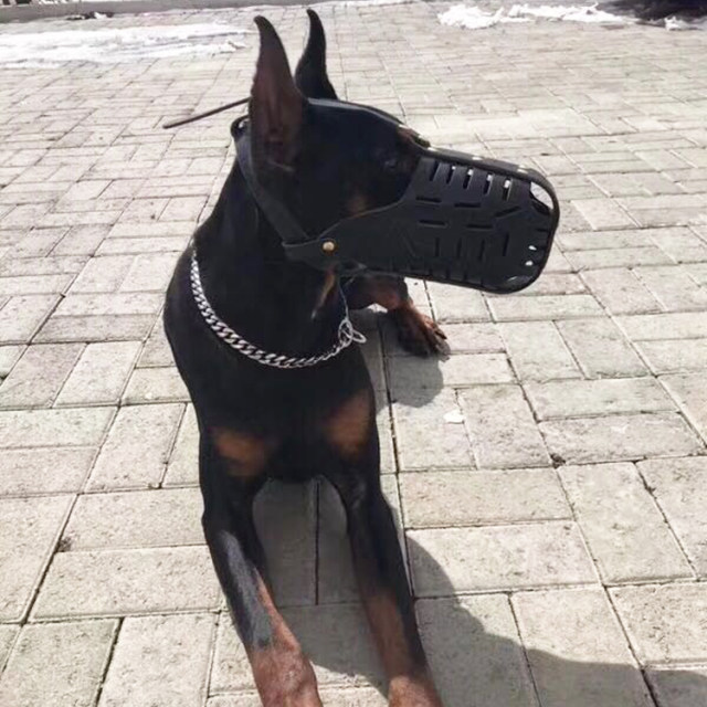First layer cowhide muzzle for working dogs, medium and large dogs
