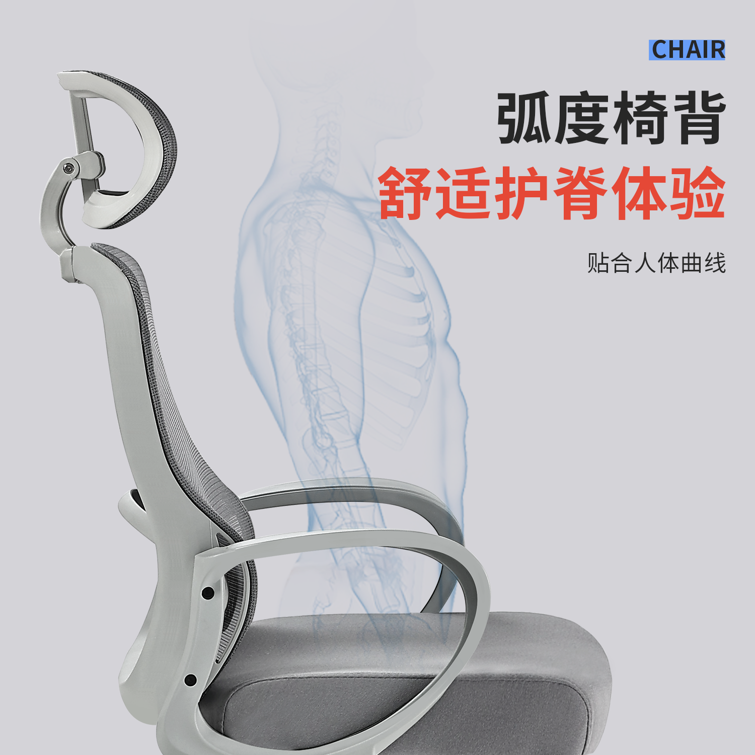 办公椅舒适护腰靠背椅人体工学椅电脑椅家用书房椅子透气椅网布椅,淘宝优惠券,粉丝福利购,淘宝优惠卷