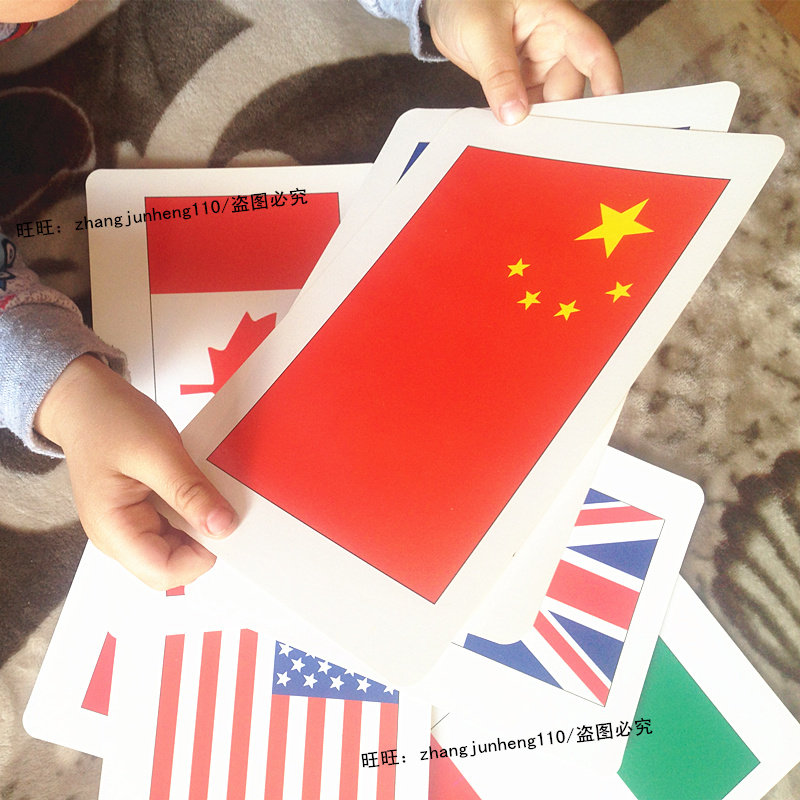 杜曼全右脑开发国旗闪卡宝宝早教认知世界国家国旗车标大卡片玩具