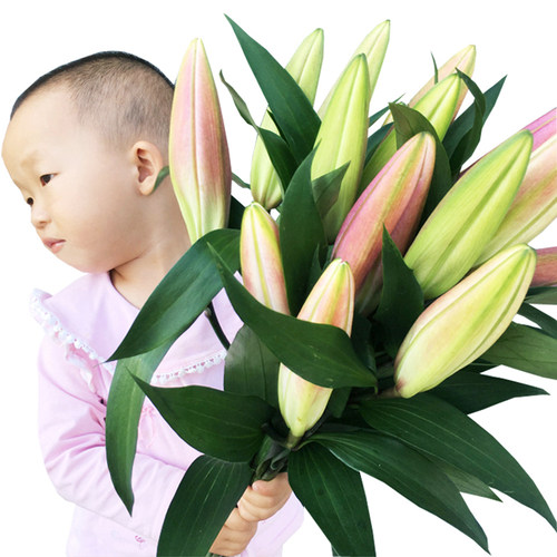 鲜花花束云南昆明基地直发香水百合花速递同城生日520情人节礼物 - 图3