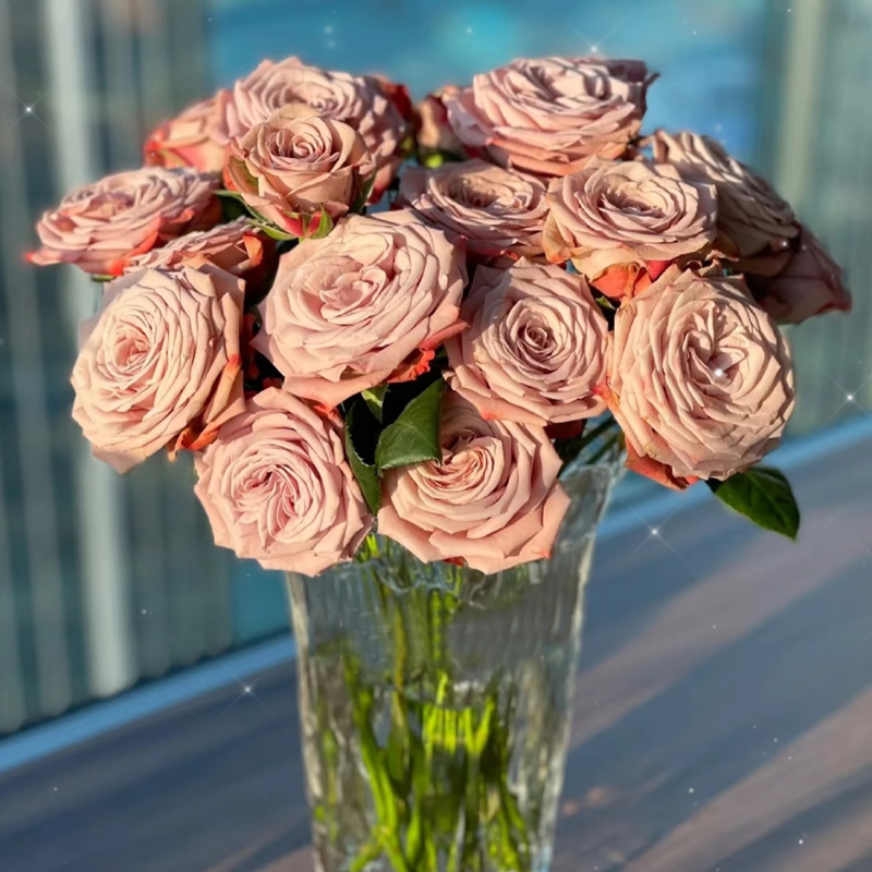 【碎冰蓝单头玫瑰】鲜花花束云南基地直发速递同城水养教师节礼物 - 图3