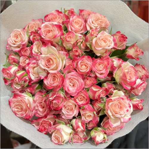 多头小玫瑰泡泡云南直发鲜花花束速递同城苏菲宝贝家用教师节礼物 - 图2