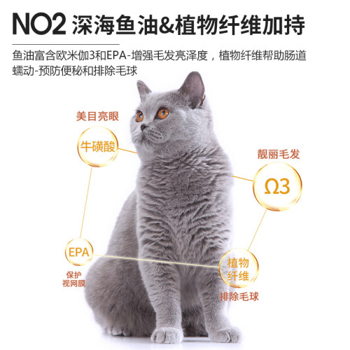 COKETER宠康堂全价猫粮4斤成猫专用英短蓝猫加菲猫天然猫粮 - 图0