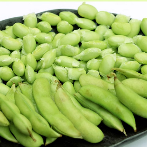 早熟大粒毛豆种子种籽早熟黄豆种孑高产菜特大青豆四季夏蔬菜籽种 - 图2