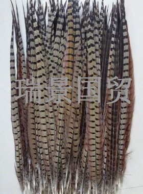厂家直销京戏翎子天然羽毛