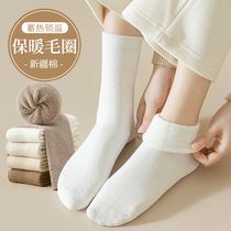 (picturesque homestein) hair circles thickened warm winter 100 hitch midbarrel socks