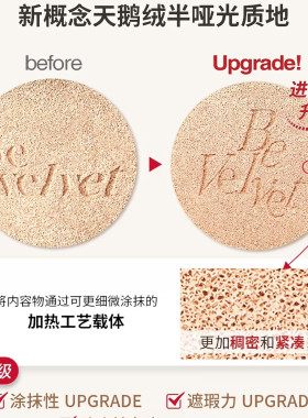 艾丝珀天鹅绒半哑光气垫遮瑕持久