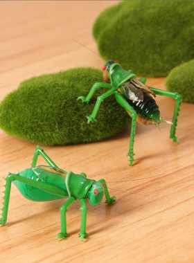 淄博琉璃手工仿真蝈蝈昆虫摆件工艺品玻璃微景观礼物家居桌面