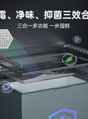 星星家用小型300升保鲜冷冻转换速冻冷柜微霜净味1级能效节能冰箱