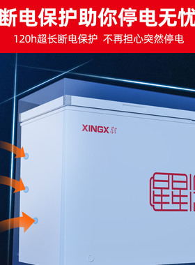 星星冷柜700升大容量商用冰柜