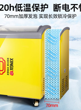 海鲜柜展示柜XINGX/星星圆弧雪糕