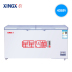 giá tủ đông sanaky Tủ đông lạnh lớn XINGX / Star BD / BC-406E Tủ đông công suất lớn Tủ đông lạnh Tủ lạnh tuyết ngang - Tủ đông tủ đông sanaky 1 ngăn Tủ đông