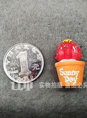 创意立体盆栽仙人掌多肉冰箱贴