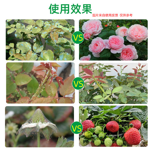 杀红蜘蛛专用药虫卵双杀月季花常用药蚜虫蓟马杀虫剂花卉蔬菜通用 - 图2