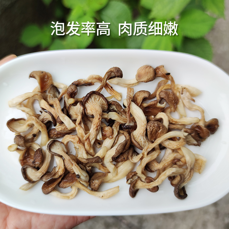 大个虾米菇 鲜香食用虾米菇 味道鲜美菇 菇山珍 干货农家土特产 - 图1