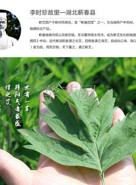 蕲艾叶靳艾草泡脚药包男女足浴粉包驱寒暖宫助睡眠手脚冰凉臭正品