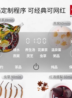 德国双立人enfinigy系列养生壶