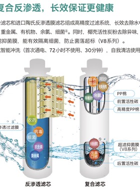 德国威能净水器RO反渗透纯水机V6