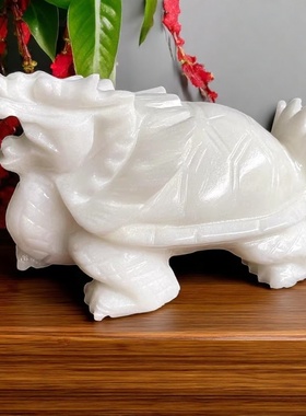 龙头龟创意原石雕刻客厅中国大陆