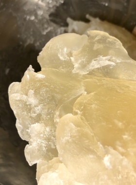 【洗梧】椰子油皂糊皂种10个1斤 液体皂10斤 衣物餐具果蔬洗涤