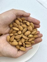 Guts Little Disciples Original Taste Readycooked Pastan Wood Kernel Nuts Preferred Nuts Baking Raw Materials 500g Office Small Snacks